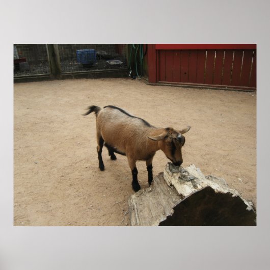 3. April (11) Leinwand Poster (Vorne)