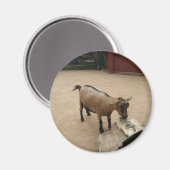 3. April (11) Magnet (Vorderseite/Rückseite)