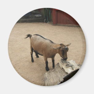 3. April (11) Magnet