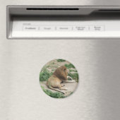 3. April (1) Magnet (In Situ (Geschirrspüler))