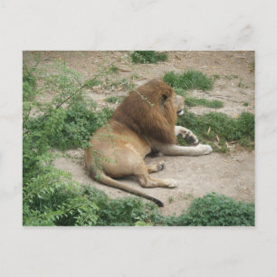 3. April (1) Postkarte