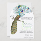 3 Aqua Peacock Vintag Feathers & Bird Einladung (Vorderseite)