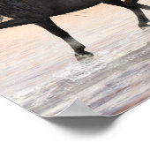 3 Arabians Value Poster Paper (Matte) (Ecke)