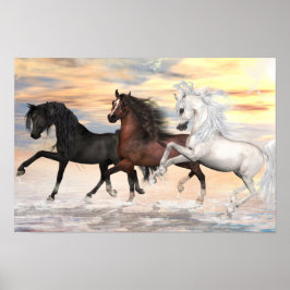 3 Arabians Value Poster Paper (Matte)