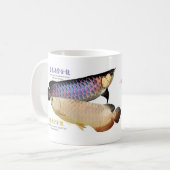 3 Asian Arowanas Kaffeetasse (Vorderseite Links)