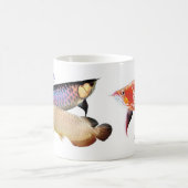 3 Asian Arowanas Kaffeetasse (Mittel)