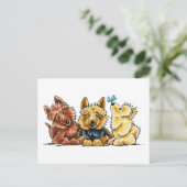 3 Australische Terrier Postkarte (Stehend Vorderseite)