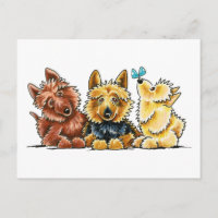 3 Australische Terrier