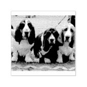 3 Basset_hound_Welpen Permastempel (Design)