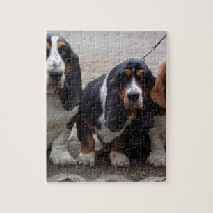 3 Basset-Hound-Welpen Puzzle
