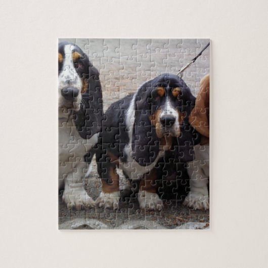 3 Basset_hound_Welpen Puzzle (Vertikal)