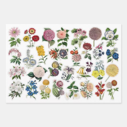 3 Blume Collage Sheets Geschenkpapier Set (Vorderseite 3)