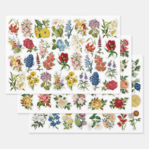 3 Blume Collage Sheets Geschenkpapier Set