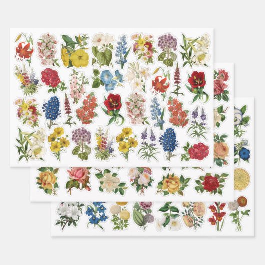 3 Blume Collage Sheets Geschenkpapier Set (Set)