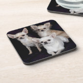 3 Chihuahua Getränkeuntersetzer (Linke Seite)
