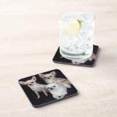 3 Chihuahua Getränkeuntersetzer (Rechte Seite)