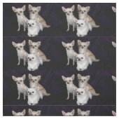 3 Chihuahua Stoff (Muster)