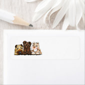 3 Chinesischer Shar Pei (Insitu)