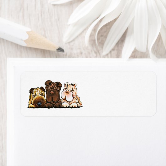 3 Chinesischer Shar Pei (Insitu)