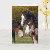 3 Clydesdale Köpfe Karte (Gelbe Blume)