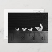 3 cm Familienschwimmbad Postkarte (Vorne/Hinten)