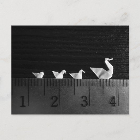 3 cm Familienschwimmbad Postkarte (Vorderseite)