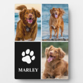 3 Collage Foto Hund Lover Paw Foto Fotoplatte (Vorderseite)