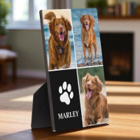 3 Collage Foto Hund Lover Paw Foto