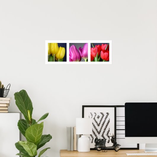 3 Colors Tulips Poster (Heimbüro)