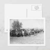 3 Cowboys Roping Pferde FotografieSouth Dakota Postkarte (Vorne/Hinten)