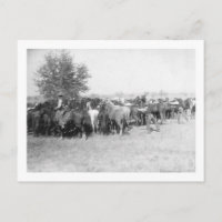 3 Cowboys Roping Pferde FotografieSouth Dakota