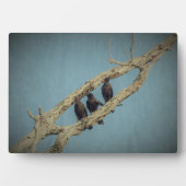 3 Crows Plaque Fotoplatte (Vorderseite)