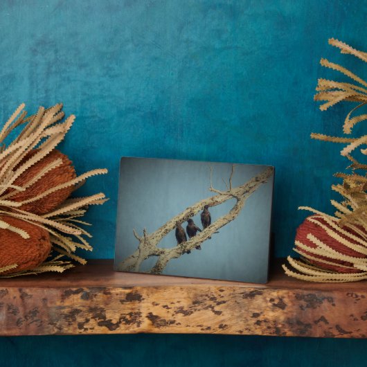 3 Crows Plaque Fotoplatte (Seite)