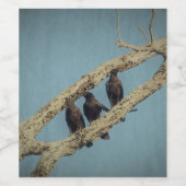 3 Crows Wine Label Weinetikett (Einzelnes Label)
