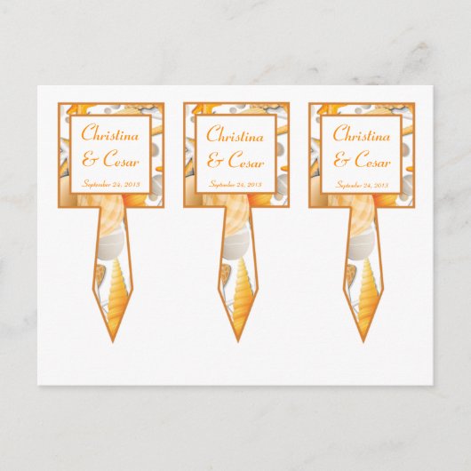 3 Cup Cake Picks Assorted Seashells Orange Postkarte (Vorderseite)