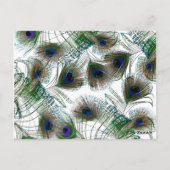 3 Cup Cake Picks Peacock Feathers blau/grün Postkarte (Rückseite)