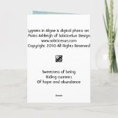 3 Cygnets in den Algen Karte (Rückseite)