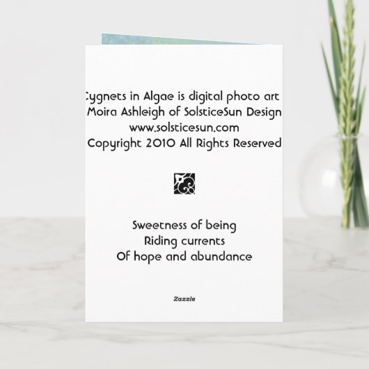 3 Cygnets in den Algen Karte (Rückseite)