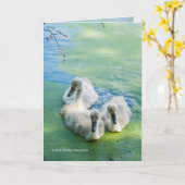 3 Cygnets in den Algen Karte (Gelbe Blume)