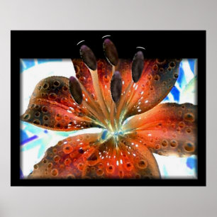 3-D Abstrakt Lilie Poster