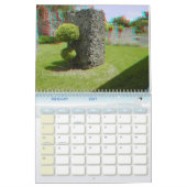3-D Anaglyph-Foto-Kalender Kalender (Feb 2027)