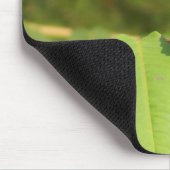 3-D-Schmetterling Mousepad (Ecke)