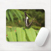 3-D-Schmetterling Mousepad (Mit Mouse)