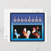 3 Delaware-Hühner Postkarte (Vorne/Hinten)
