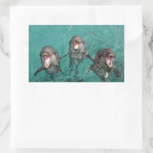 3 Delphine Rechteckiger Aufkleber (Tasche)