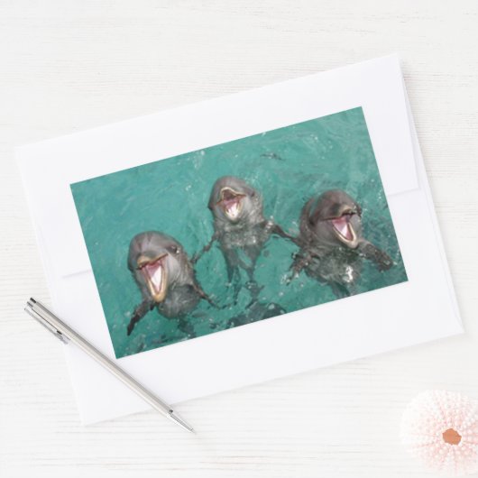3 Delphine Rechteckiger Aufkleber (Umschlag)