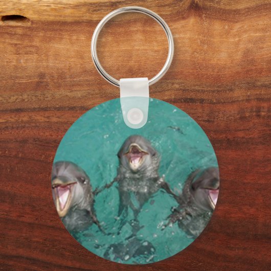 3 Delphine Schlüsselanhänger (Vorderseite)