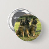 3-Deutsche Hirten Button (Vorne & Hinten)