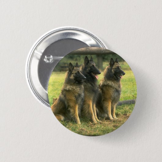 3-Deutsche Hirten Button (Vorne & Hinten)