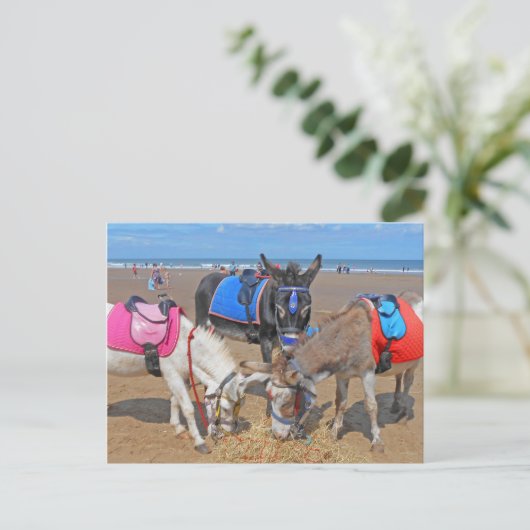 3 Donkeys Postkarte (Stehend Vorderseite)